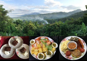 Pua Tranquil Vista Homestay